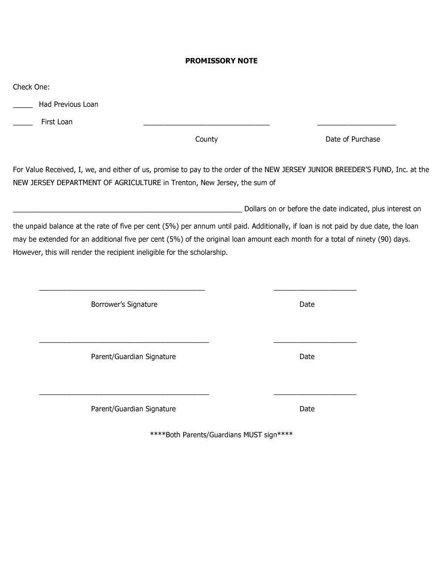 45 Free Promissory Note Templates & Forms [Word & Pdf] ᐅ With Loan Promissory Note Template