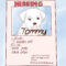 9 Best Photos Of Make Your Own Missing Poster – Lost Dog Intended For Missing Dog Flyer Template