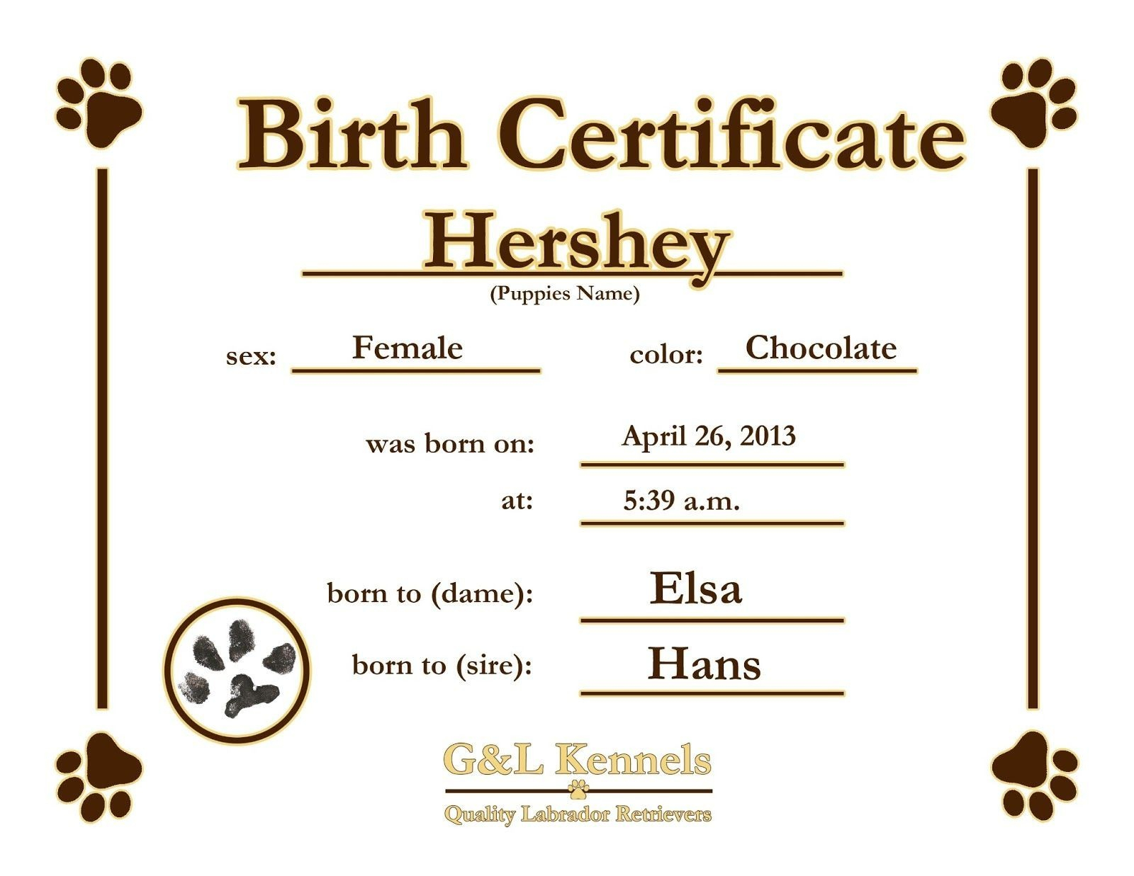 Blank Birth Certificate Template For Elements Novelty Images Intended For Novelty Birth Certificate Template