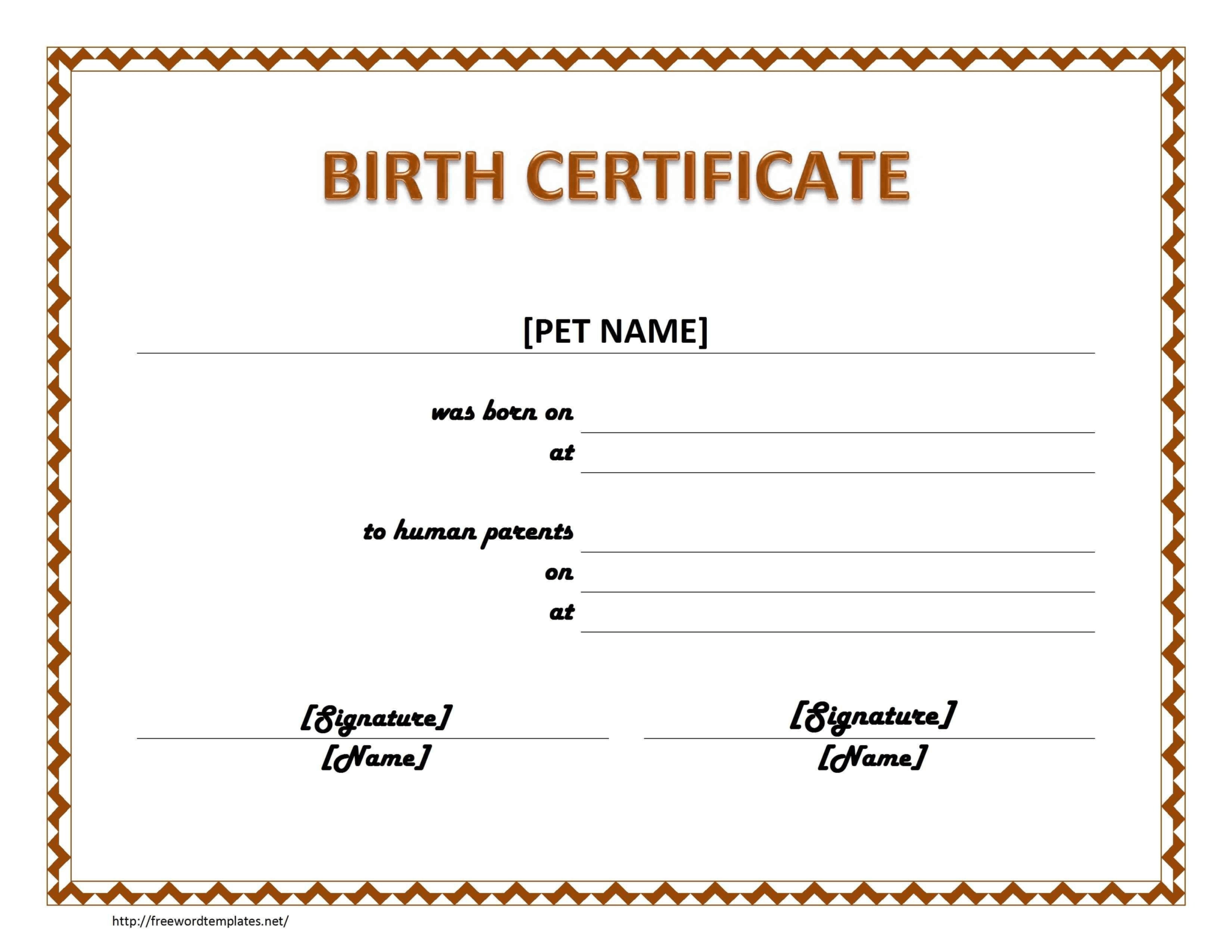 Blank Birth Certificate Template For Elements Novelty Images Within