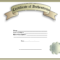 Certificate Of Authenticity Template | Templates At Pertaining To Letter Of Authenticity Template