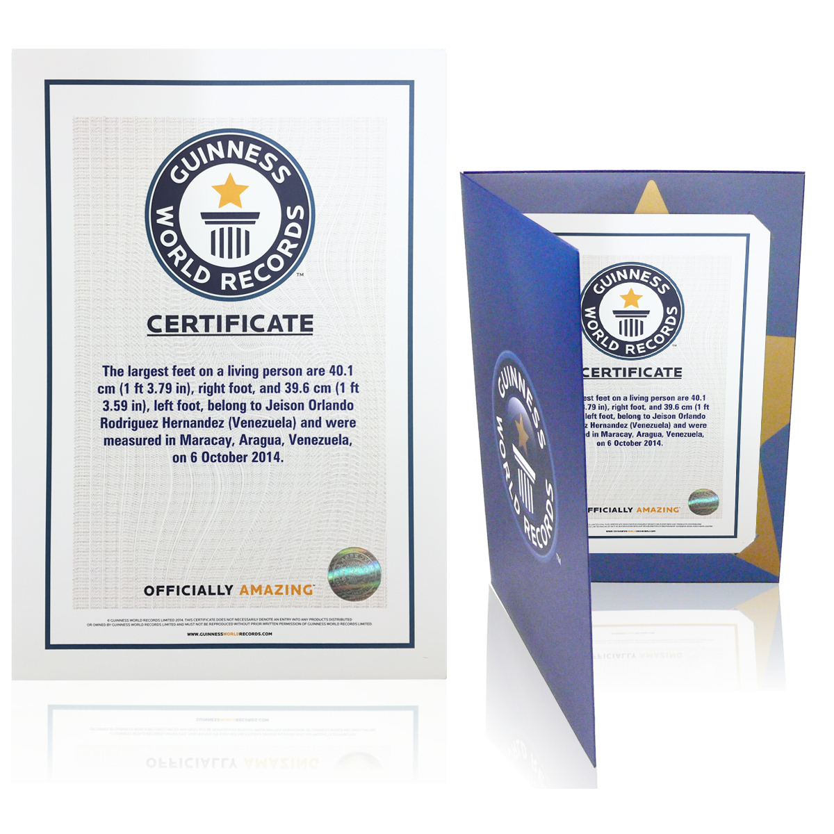 Certificates In Guinness World Record Certificate Template