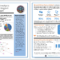 Cyberlabe — Network Analysis Report Example Inside Network Analysis Report Template