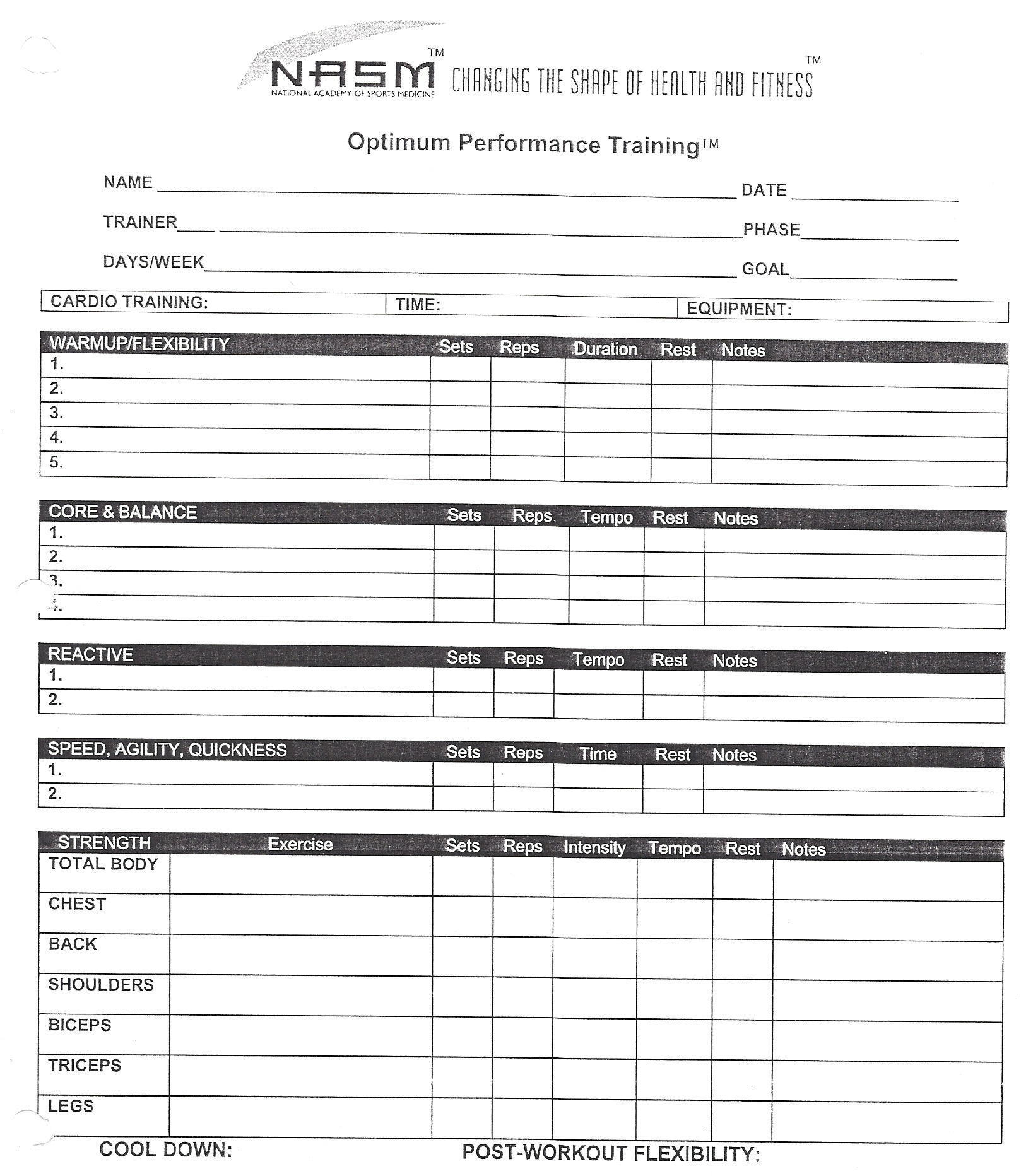 Documents With Nasm Workout Template