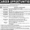 Examples Of Job Advertisements In Newspapers – Ajak Ngiklan regarding Help Wanted Ad Template