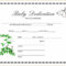Fan Birth Certificate Printable | Chapman Blog Throughout Novelty Birth Certificate Template