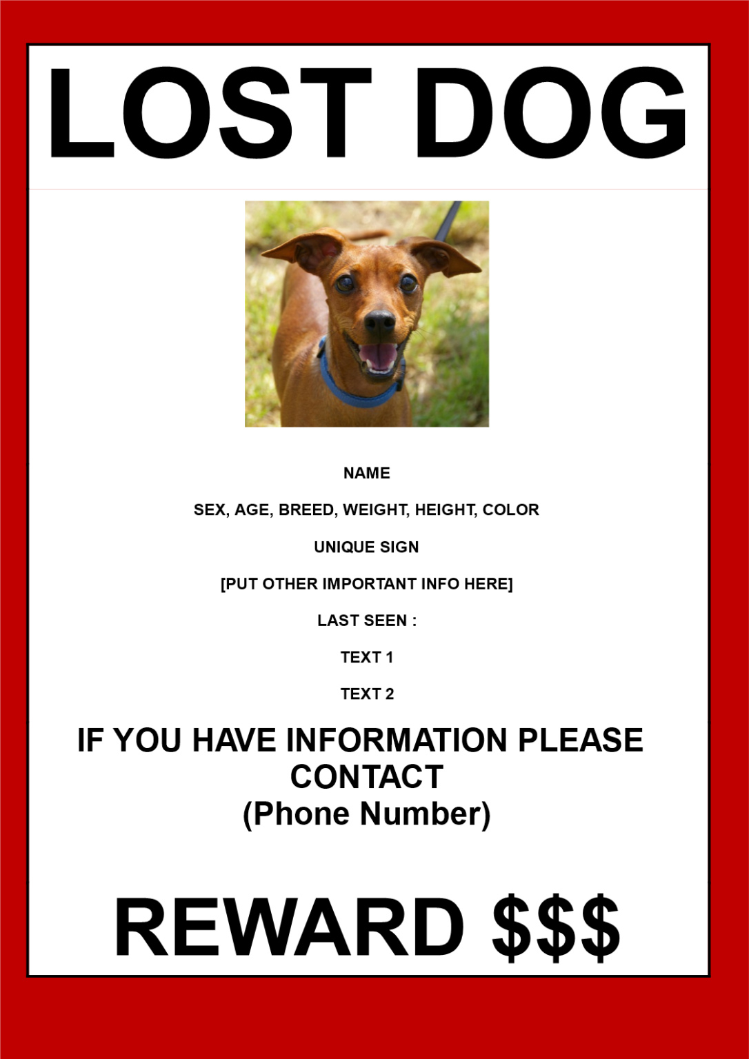 Lost Dog Flyer Template Best Template Ideas