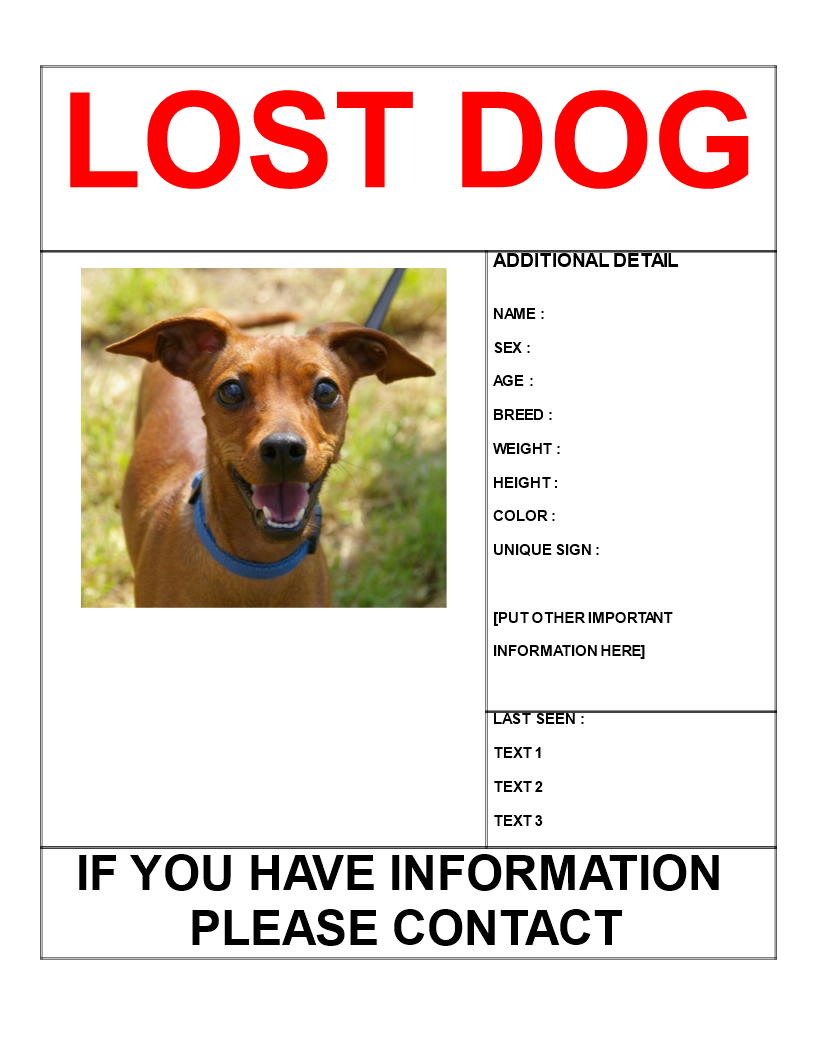 Find Missing Dog Poster Template Letter Size | Templates At Pertaining To Lost Dog Flyer Template