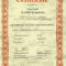 Free Certificate Template – Certificate Templates Inside Girl Birth Certificate Template