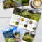 Google Slides Travel Brochure Template Free Inside Google Docs Travel Brochure Template