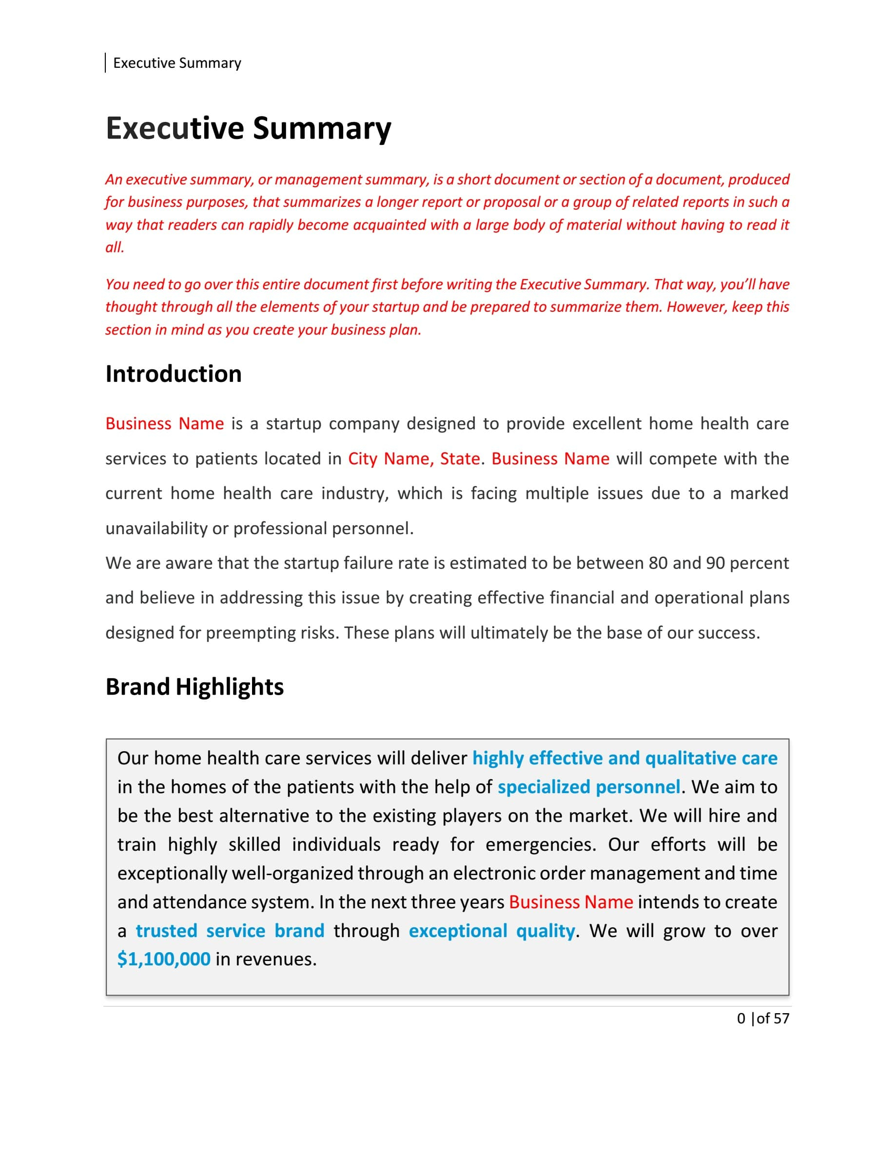 Home Health Care Business Plan Template Sample Pages – Black Within Health Care Business Plan Template