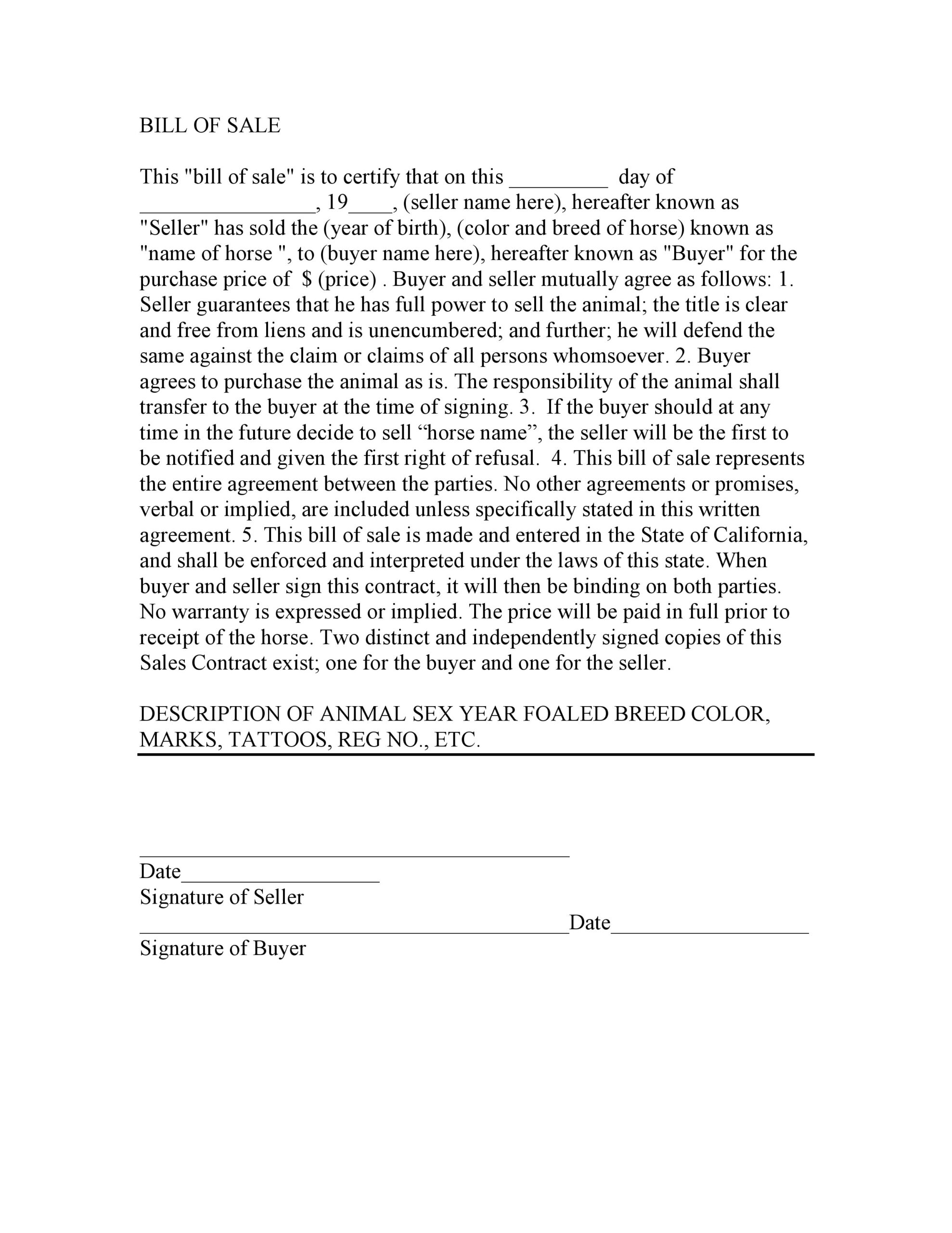 Horse Bill Of Sale. Sample Hourse Bill O Sale Form. Equine Throughout Horse Bill Of Sale Template