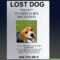 How To Make An Effective Missing Pet Poster (With Pictures) For Lost Dog Flyer Template