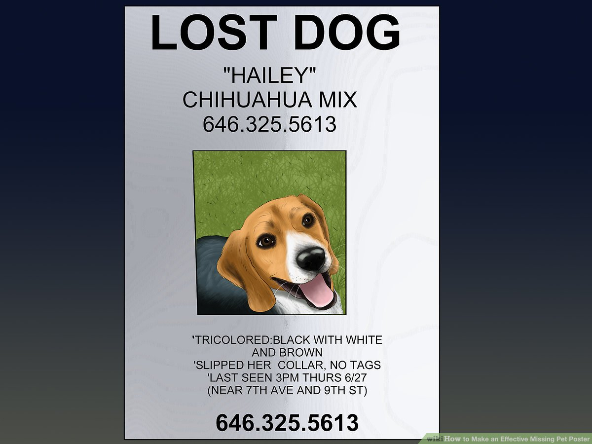 How To Make An Effective Missing Pet Poster (With Pictures) In Missing Dog Flyer Template