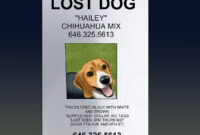 How To Make An Effective Missing Pet Poster (With Pictures) with regard to Lost Pet Flyer Template