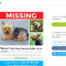Lost Pet Poster Generator | Pod Trackers Within Lost Pet Flyer Template