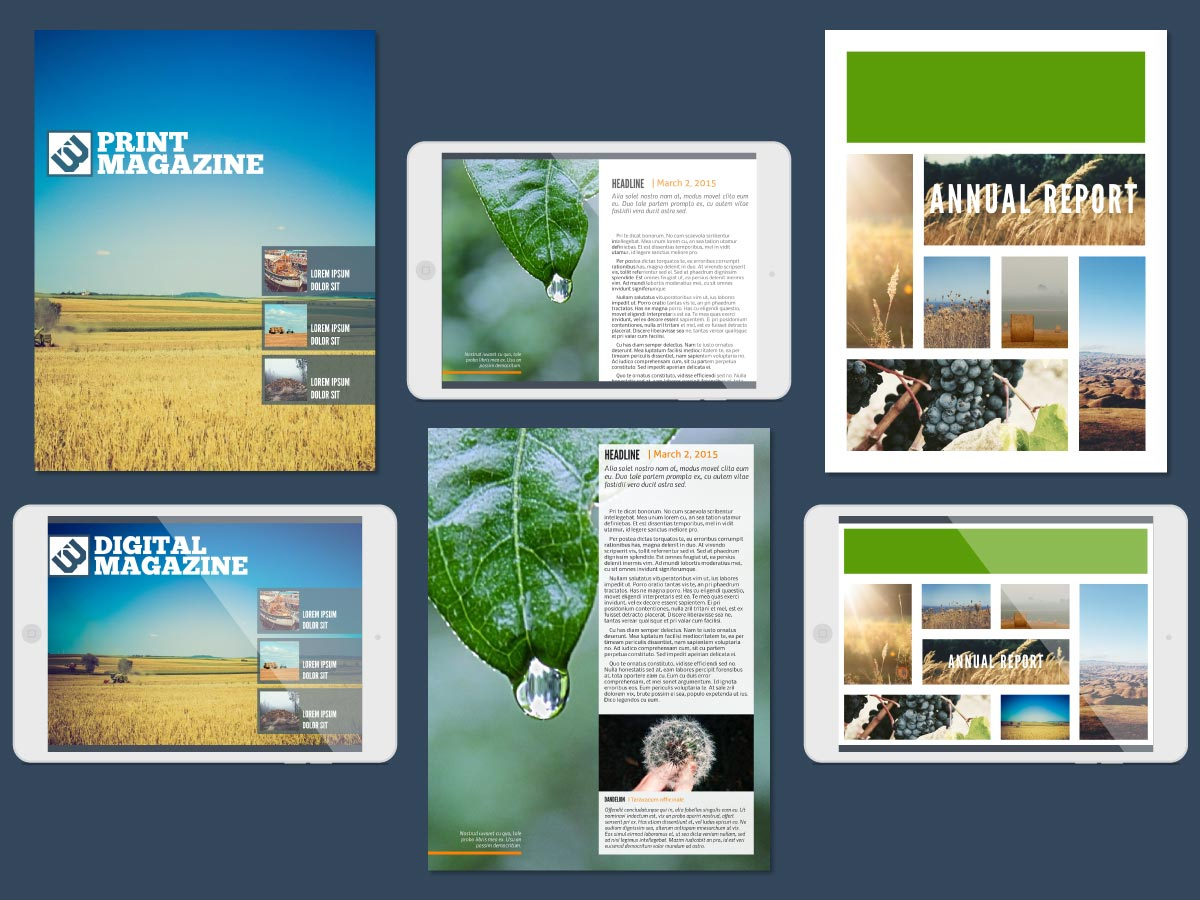 Microsoft Publisher Online Alternative [Free For Everyone] With Microsoft Publisher Flyer Templates