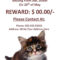 Missing Or Lost Pet Poster Template | Free Printable Ms Word Regarding Lost Pet Flyer Template