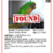 Missing Poster Template. Missing Person Poster Template With Missing Dog Flyer Template