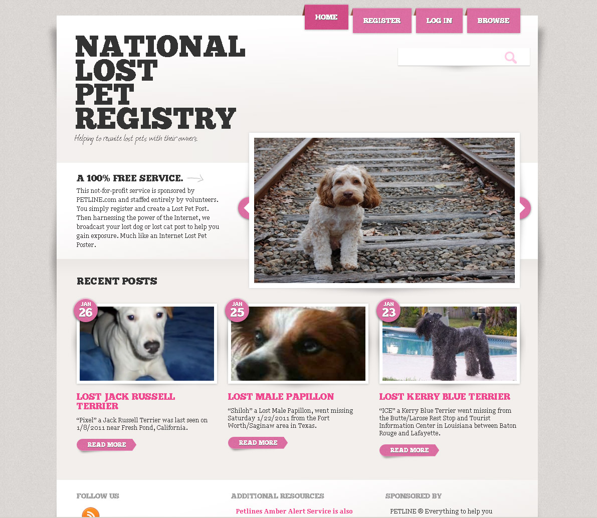 National Lost Pet Registry Example | Vivid Candi In Lost Pet Flyer Template