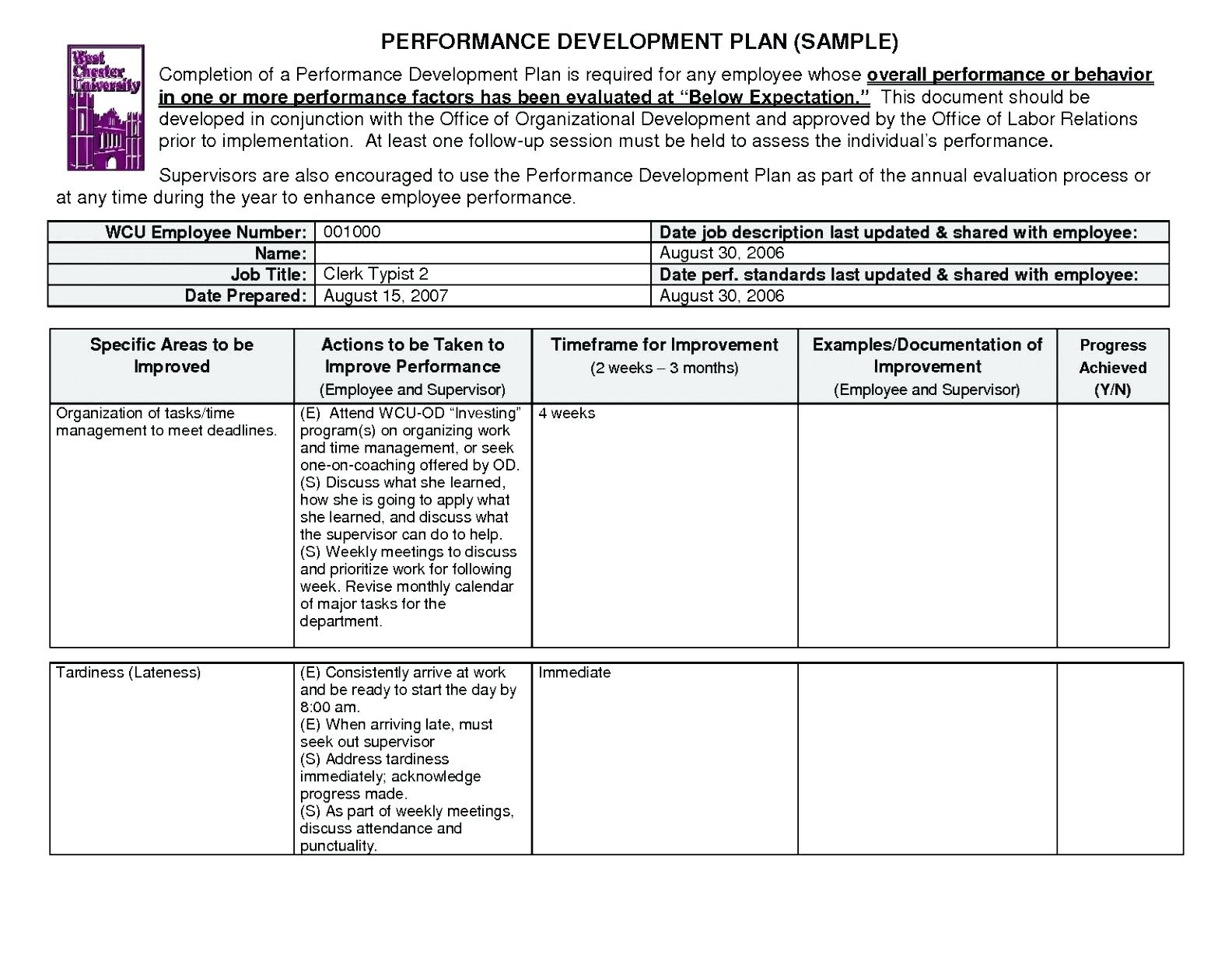 Project Manager Development N Example Good Application Intended For Na Meeting Format Template