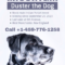 Simple Missing Dog Poster Template In Lost Dog Flyer Template