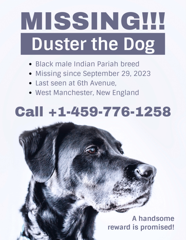 Simple Missing Dog Poster Template In Lost Dog Flyer Template Best