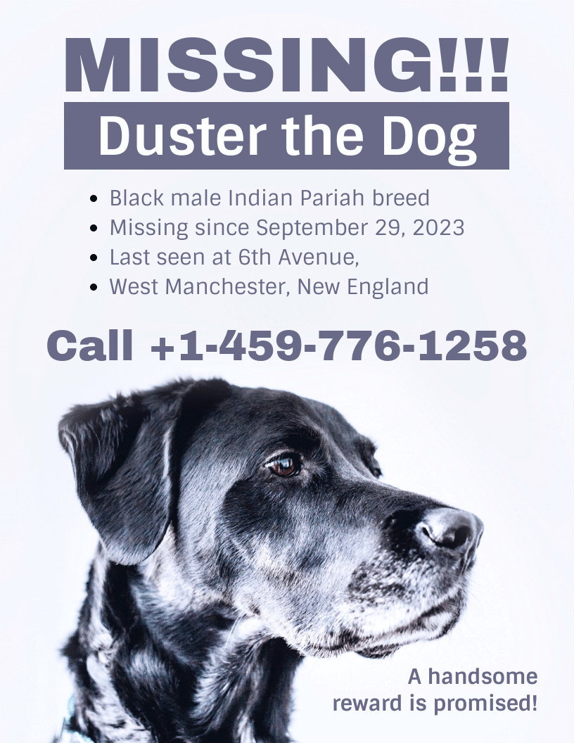 Simple Missing Dog Poster Template Pertaining To Missing Dog Flyer Template