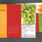 Tri Fold Brochure Template For Health And Nutrition. Order regarding Nutrition Brochure Template