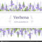 Verbena Plant Card Template With Copy Space On Stripe. Stems Intended For Med Card Template