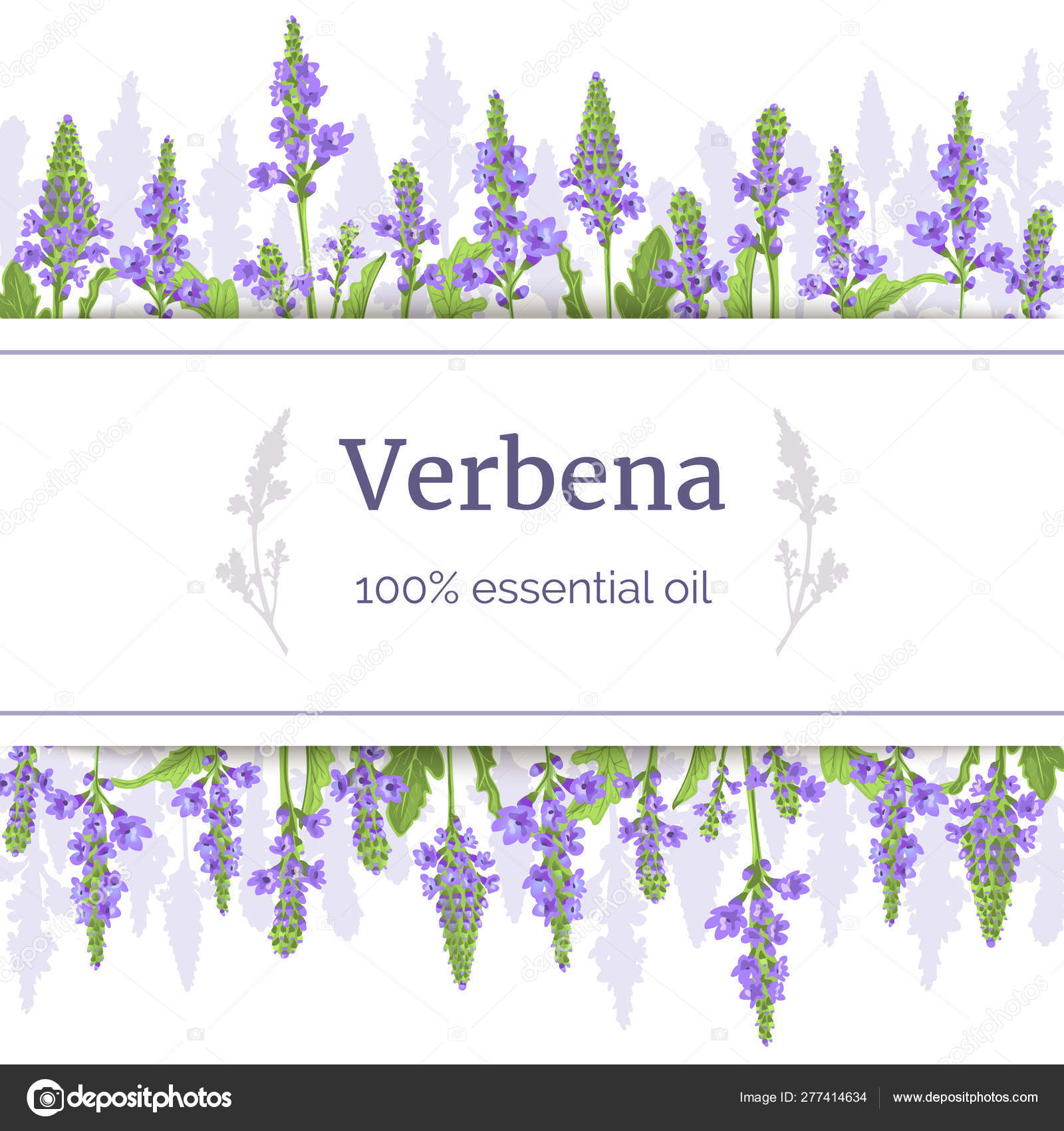 Verbena Plant Card Template With Copy Space On Stripe. Stems Intended For Med Card Template
